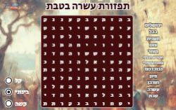 משחק תפזורת עשרה בטבת